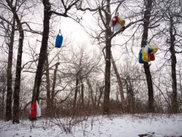 Bear bags hangin' in the snow.