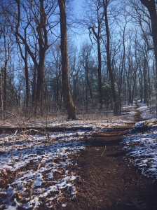 The trail meandering through the melting snow.